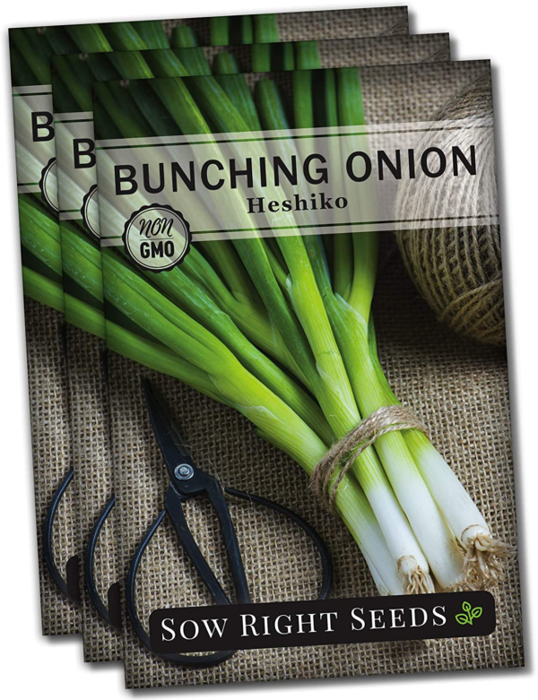 - Heshiko Japanese Bunching Green Onion Seeds for Planting - Non-Gmo Heirloom - Instructions to Plant and Grow a Kitchen Garden Indoors or Outdoors - Mild Onion Flavor for Cooking (3)