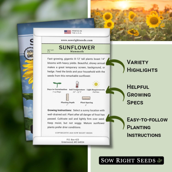 - Mammoth Sunflower Seeds to Plant - Grow Giant Sunflowers in Your Garden - Non-Gmo Heirloom Seeds for Planting an Outdoor Garden - Bright Yellow Blooms - Attract Bees and Birds (3) - Image 2