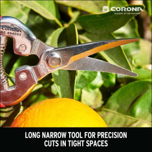 1.75 In. Stainless Steel Long Curved Snips - Image 6