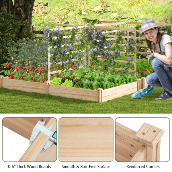 Raised Garden Bed with 2 Planter Boxes and 3 Trellis - Image 6