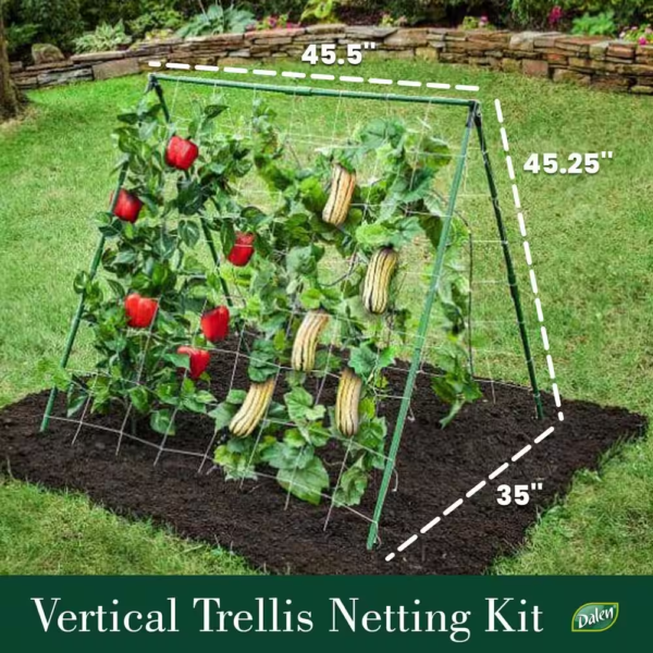 Vertical A-Frame Plant Support Trellis - Image 3