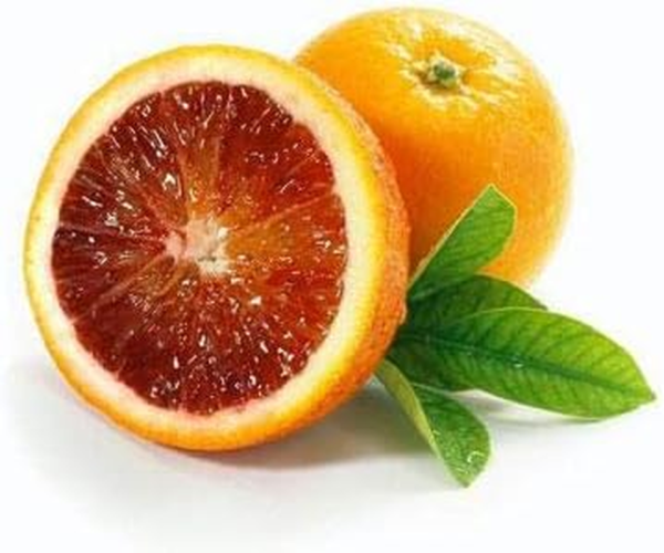 - Blood Orange Tree, 3-4 Ft, Live Trees, No Shipping to AZ, AL, CA, FL, GA, LA, TX, OR - Image 2