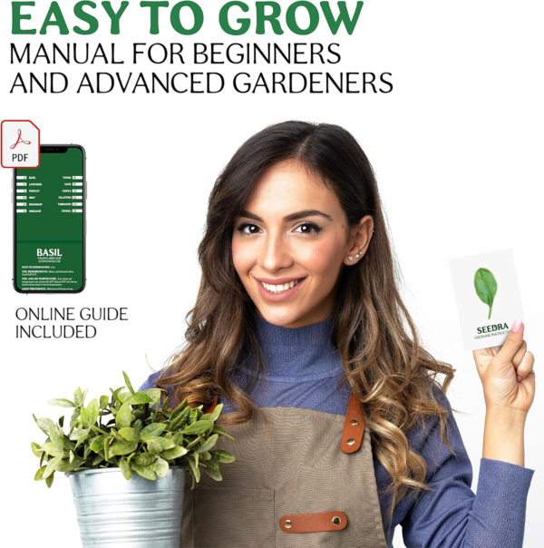 15 Herb Seeds Variety Pack - 4500+ Non-Gmo Heirloom Seeds for Planting Hydroponic Indoor or Outdoor Home Garden - Lavender, Parsley, Cilantro, Basil, Thyme, Mint, Rosemary, Dill & More - Image 6