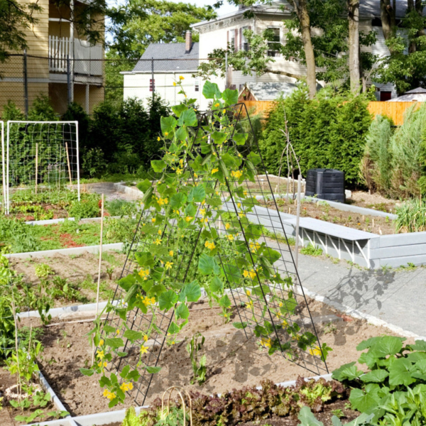 2 Pieces Foldable A-Frame Trellis Plant Supports with Twist Ties - Image 3