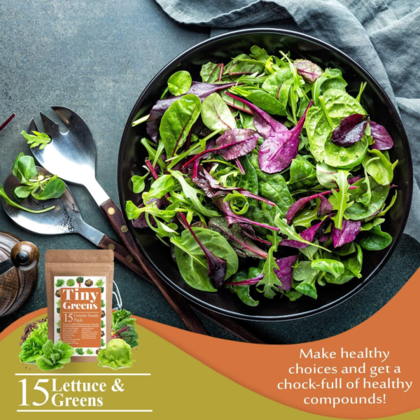 15 Heirloom Lettuce Seeds for Planting | 4000+ Non-Gmo, Heirloom Leafy Greens Seed: Romaine Iceberg Butter Lettuce Seeds, Kale Spinach Arugula Seeds | Seeds for Hydroponic Garden Indoor Microgreens - Image 8
