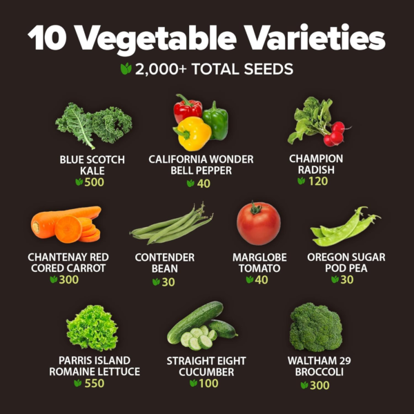 2,000+ Vegetable Seeds for Planting - 10 Heirloom Seeds for Planting Vegetables Indoors or Outdoors: Non-Gmo Kale, Lettuce, Tomato, Broccoli, Beans, Peas, Bell Peppers - Home Garden Survival Seeds - Image 3