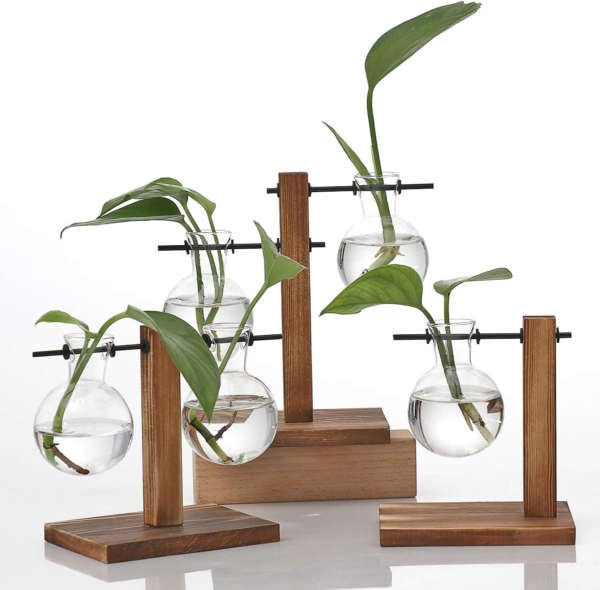 Glass Planter Bulb Vase Desktop Plant Terrarium with Retro Solid Wooden Stand for Propagation Hydroponics Water Plants Home Garden Office Decor - Image 6