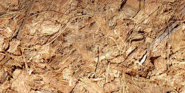 Coco Mulch, 11- Pounds - Image 3