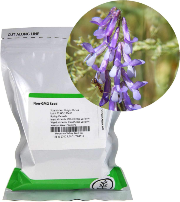 Hairy Vetch Winter Cover Crop Seeds - 1 Lbs - Field & Pasture Legume Cover Crop Seed