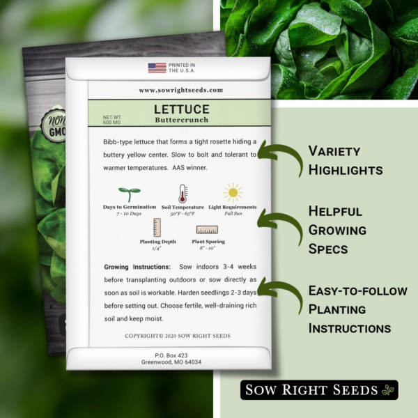 - Buttercrunch Lettuce Seeds for Planting - Non-Gmo Heirloom Packet with Instructions to Plant a Home Vegetable Garden - Outdoors or Hydroponics Indoors - Heat Tolerant Variety (1) - Image 2