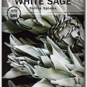 - White Sage Seed for Planting - Non-Gmo Heirloom Packet with Instructions for Planting and Growing a Home Herb Garden - Indoors or Outdoors - Make Your Own Herbal Incense (1)