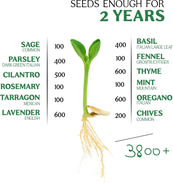 12 Herb Seeds Variety Pack - 3800+ Non-Gmo Heirloom Seeds for Planting Hydroponic Indoor or Outdoor Home Garden - Rosemary, Tarragon, Lavender, Oregano, Basil, Thyme, Parsley, Chives & More - Image 2