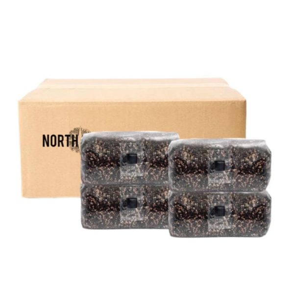 'Shroomtek' + Spore Boostr All-In-One Mushroom Grow Bag - Image 9