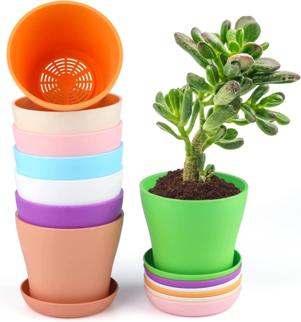 8 Pcs 4" Plastic Plant Flower Seedlings Nursery Pot/Pots Planter Colorful Flower Plant Container Seed Starting Pots with Pallet and Drainage Holes for Home Garden Flowers Plants,8 Colors - Image 3