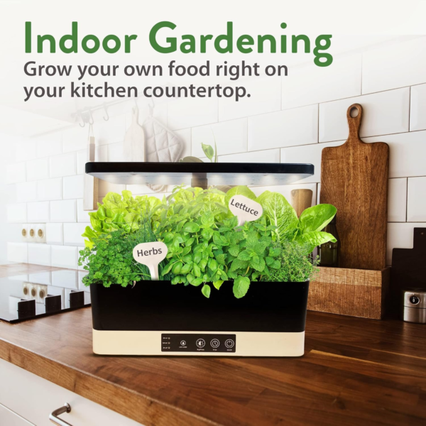 15 Heirloom Lettuce Seeds for Planting | 4000+ Non-Gmo, Heirloom Leafy Greens Seed: Romaine Iceberg Butter Lettuce Seeds, Kale Spinach Arugula Seeds | Seeds for Hydroponic Garden Indoor Microgreens - Image 6