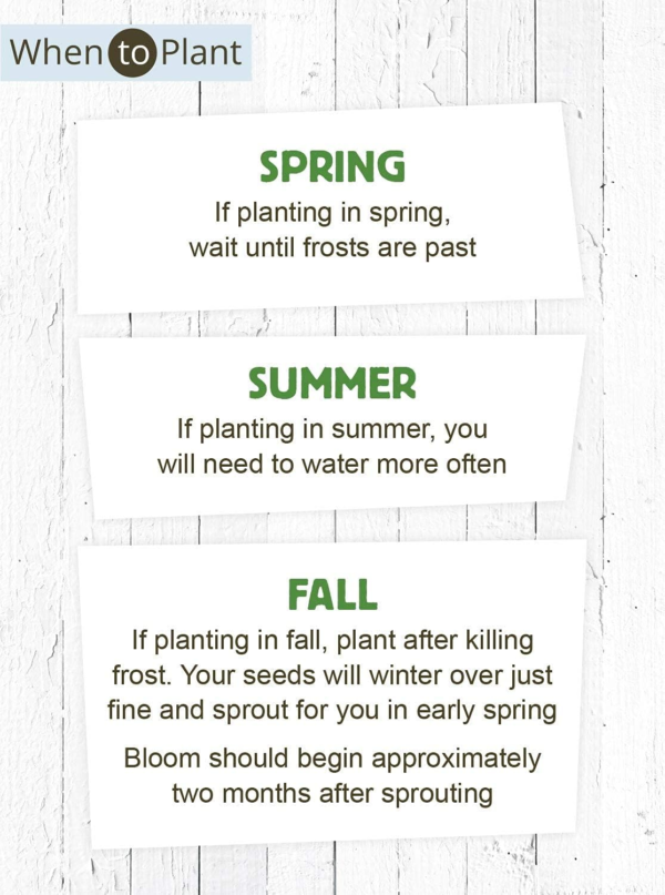 Wildflower Seed Packets Thank You for Your Support Party Favors (Pack of 20) - Express Gratitude with a Wildflower Seed Mix, Great Addition or Alternative to Thank You Cards - Image 6