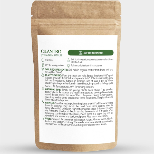 300+ Cilantro Seeds for Indoor, Outdoor and Hydroponic Planting, Non GMO Heirloom Seeds for Home Garden - 1 Pack - Image 2