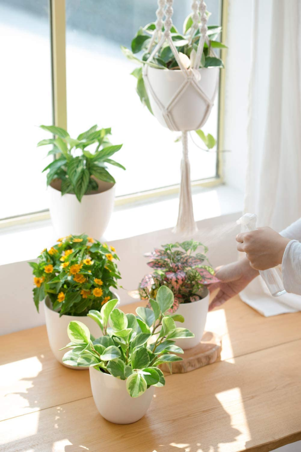3 Pack Macrame Plant Hangers with Pots, 35"/29"/23" Indoor Different Size Hanging Planter Basket Flower Pot Holder with Saucers & Hooks No Tassels (Plastic Pots Included), Medium, Ivory - Image 7