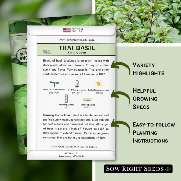 - Sweet Large Leaf Thai Basil Seed for Planting - Non-Gmo Heirloom Packet with Instructions to Plant a Kitchen Herb Garden - Indoors or Outdoor - Great for Hydroponic Growing (1) - Image 2