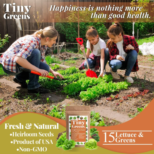 15 Heirloom Lettuce Seeds for Planting | 4000+ Non-Gmo, Heirloom Leafy Greens Seed: Romaine Iceberg Butter Lettuce Seeds, Kale Spinach Arugula Seeds | Seeds for Hydroponic Garden Indoor Microgreens - Image 7