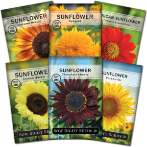 - Large Sunflower Seed Collection for Planting - 6 Varieties of Sunflowers to Attract Pollinators - Non-Gmo Heirloom Packet with Instructions to Plant & Grow - Giant Summer Blooms