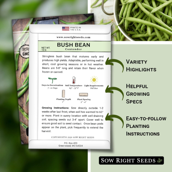 - Contender Bush Green Bean Seeds for Planting - Non-Gmo Heirloom Seed Packet - Stringless Variety to Plant an Outdoor Home Vegetable Garden - Abundant Harvest, Great for Kids (1) - Image 2