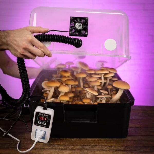 Automated 'Boomr Bin' Monotub Mushroom Grow Kit - Image 3