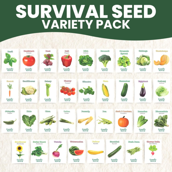 35 Vegetable Seeds | Survival Variety Pack | 2025 Season | Individually Packed Vegetables, Herbs and Fruits | Emergency Seed Vault for Doomsday Prepping | by - Image 3