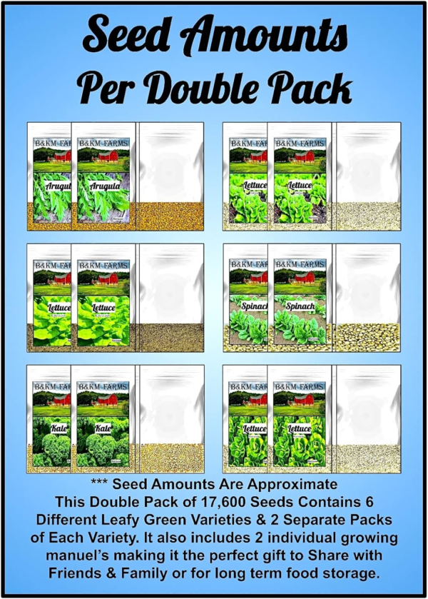Vegetable & Lettuce Seeds for Planting Your Outdoor/Indoor Survival Garden. 17700 Seeds, 2 Free Grower Guides & 12 Clear Seed Pack. Buttercrunch, Romaine, Oakleaf, Arugula, Kale, Spinach - Image 5