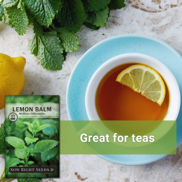 - Lemon Balm Seeds for Planting - Non-Gmo Heirloom Packet with Instructions - Easy to Grow Herb Garden - Aromatic Herb and Great for Herbal Teas - Perennial Mint Relative (1) - Image 5