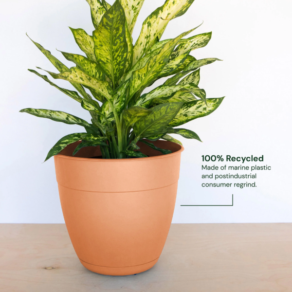 12-In Dayton 100% Recycled Plastic Planter with Saucer - Coral Color - Image 3