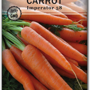 - Imperator 58 Carrot Seed for Planting - Non-Gmo Heirloom Packet with Instructions to Plant a Home Vegetable Garden - Indoors or Outdoors - Long Variety, Super Sweet (1)