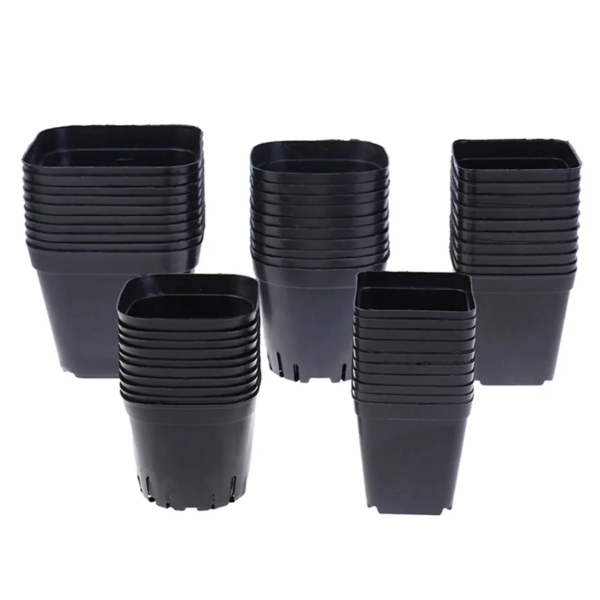 Plastic Nursery Pots, 2'' Plastic Square Flower Seeds Planter Pot, Small Starter Container for Starting Seedlings or Succulents, Black,50Pcs - Image 2