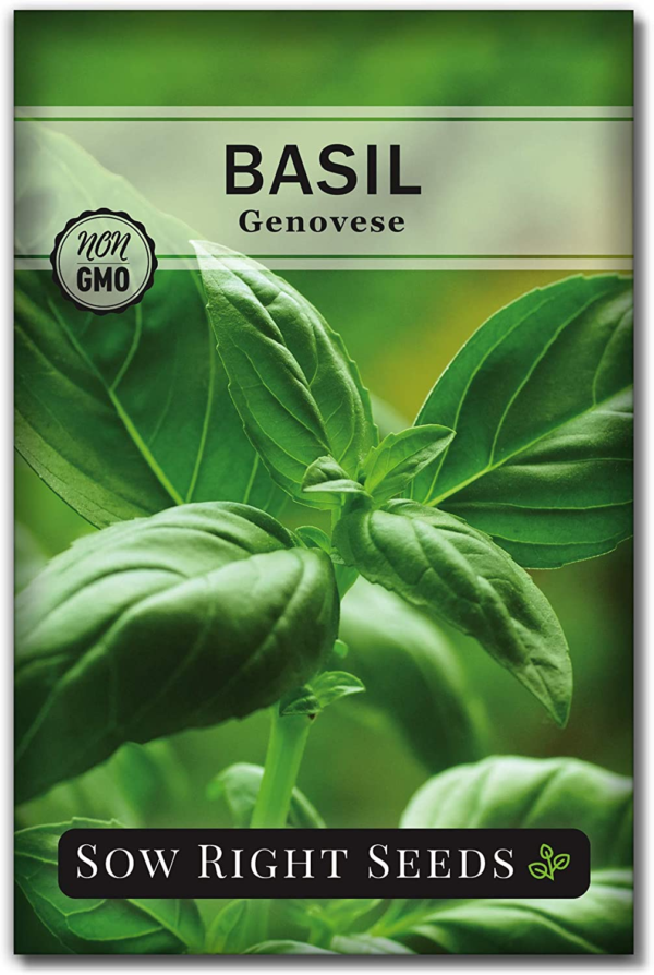 - Genovese Sweet Basil Seed for Planting - Non-Gmo Heirloom Packet with Instructions to Plant and Grow a Kitchen Herb Garden - Indoors or Outdoor - Great for Hydroponic Gardening (1)