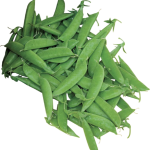Super Sugar Snap Pea Seeds 300 Seeds