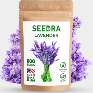 600 English Lavender Seeds for Indoor and Outdoor Planting - 500Mg - Gmo-Free and Heirloom Seeds - Germination above 90% - 1 Pack