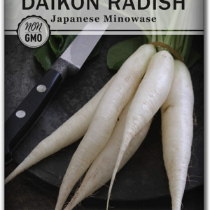 - Japanese Minowase Daikon Radish Seeds for Planting - Non-Gmo Heirloom Packet with Instructions to Plant a Home Vegetable Garden - Spring or Fall Planting Outdoors - Long White (1)