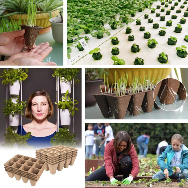Seed Starter Tray Kit,Peat Pots for Vegetable & Flower,120Cells Biodegradable Seedling Pots Germination Trays,Organic Plant Starter Kit with 60 Pcs Plant Labels - Image 7
