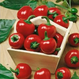 Large Red Cherry Hot Pepper Garden Seeds - 1 Oz - Non-Gmo, Heirloom Vegetable Gardening Seeds