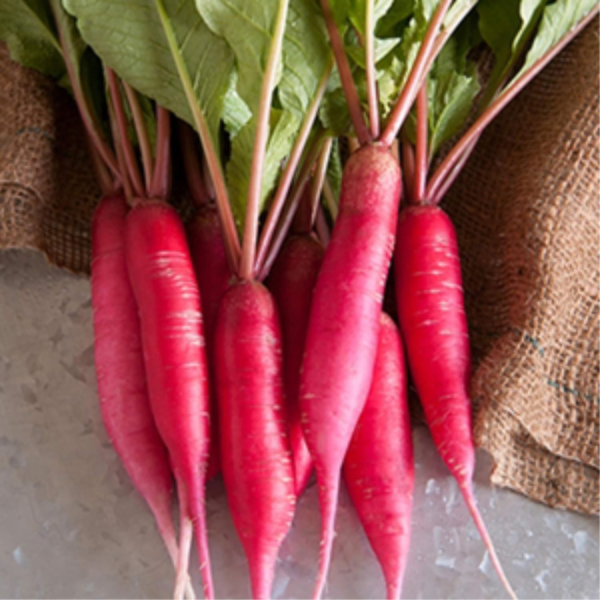 Radish Sprouting Seed - Red Arrow Variety - 5 Lb Bulk Seed - Heirloom Radish Sprouts - Non-Gmo Sprouting and Micro Radishes - Image 4