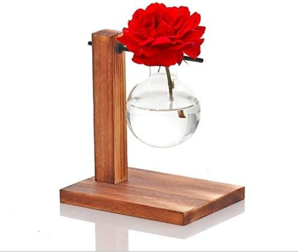 Glass Planter Bulb Vase Desktop Plant Terrarium with Retro Solid Wooden Stand for Propagation Hydroponics Water Plants Home Garden Office Decor - Image 7
