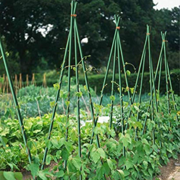 4Ft Garden Stakes Metal Plastic Coated Plant Cage Supports Tomato Stakes Trellis Climbing for Tomatoes,Trees,Cucumber,Fences,Beans,25 Pack - Image 5