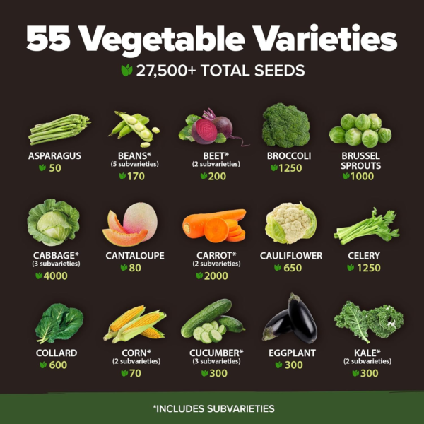 55 Vegetable Seeds Pack | Spring, Fall, Winter Heirloom Vegetables | Non-Gmo Garden Survival Seed Vault - Prepper Gear Supplies | Gifts for Men Women Gardeners - Image 3