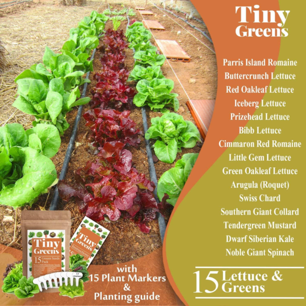 15 Heirloom Lettuce Seeds for Planting | 4000+ Non-Gmo, Heirloom Leafy Greens Seed: Romaine Iceberg Butter Lettuce Seeds, Kale Spinach Arugula Seeds | Seeds for Hydroponic Garden Indoor Microgreens - Image 4