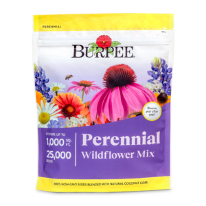 Perennial Wildflower Seeds Mix – Non-Gmo, Attracts Pollinators, Perennial Flowers, 50,000 Seeds, 1 Bag