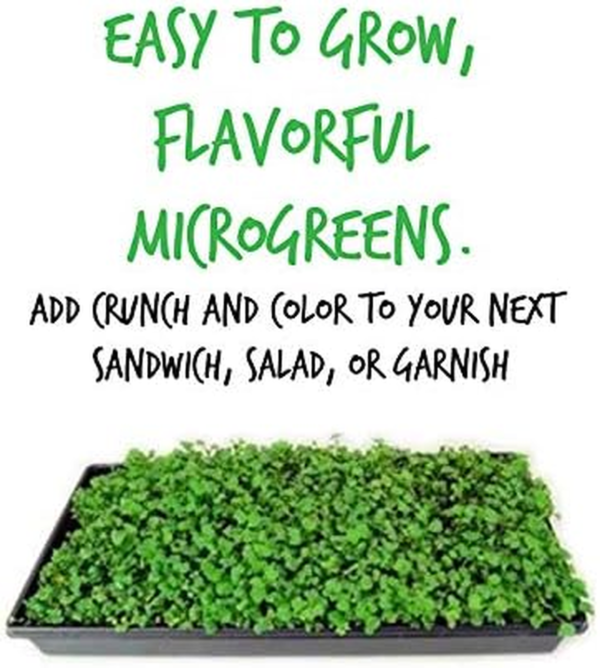 Red Russian Kale Garden Seeds - 2 Gram Packet - Non-Gmo, Heirloom Vegetable Gardening & Microgreens Seed - Image 4