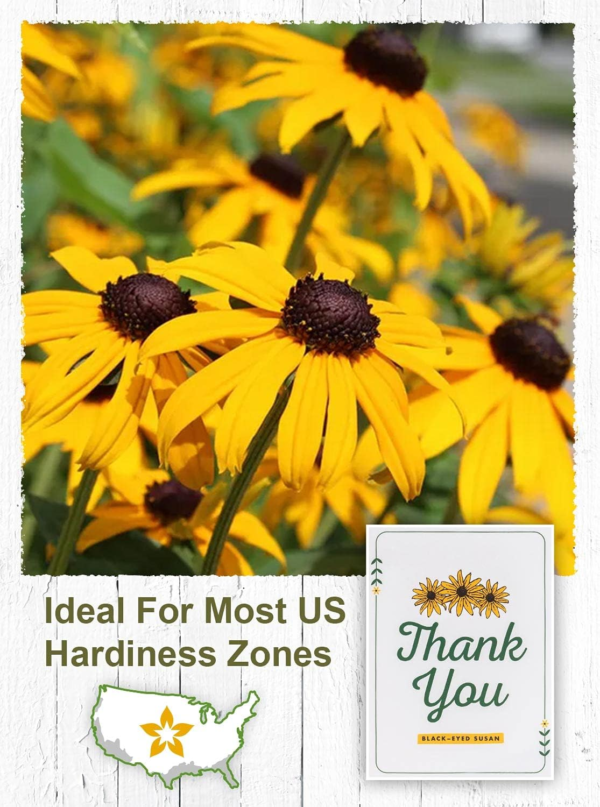Wildflower Seed Packets "Thank You Bunches" Party Favors (Pack of 20) - Express Gratitude with a Wildflower Seed Mix, Great Addition or Alternative to Thank You Cards - Image 5