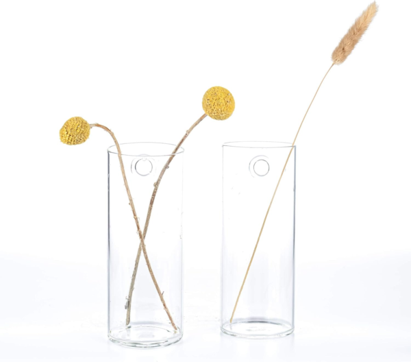 Glass Planter Terrarium Plant Propagation Station Wall Hanging for Home Office Decor, Medium Cylinder, 2 Pack - Image 4