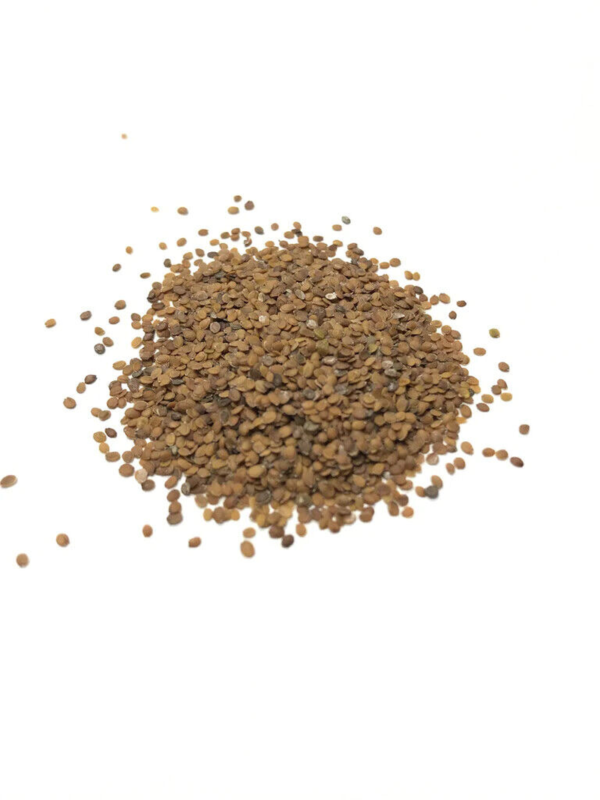 Flower Seeds - Non GMO -Variety Packs -Fresh -USA Grown Seeds - Image 32