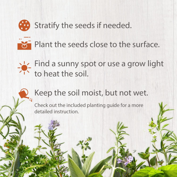 15 Heirloom Lettuce Seeds for Planting | 4000+ Non-Gmo, Heirloom Leafy Greens Seed: Romaine Iceberg Butter Lettuce Seeds, Kale Spinach Arugula Seeds | Seeds for Hydroponic Garden Indoor Microgreens - Image 3